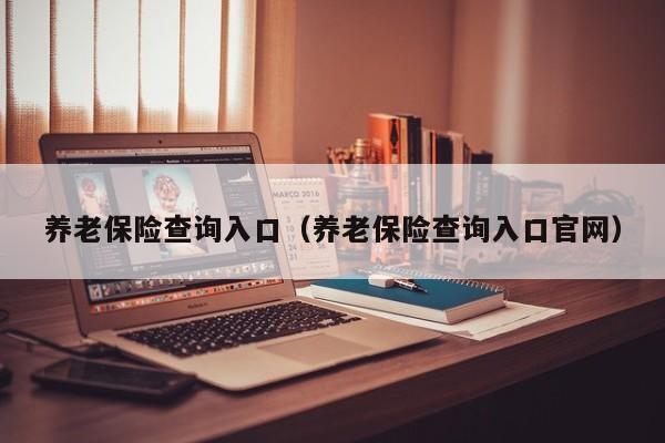 养老保险查询入口（养老保险查询入口官网）
