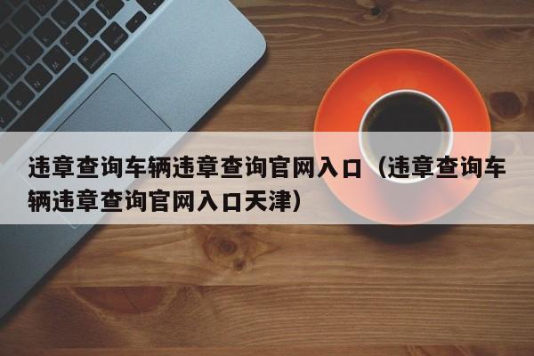 违章查询车辆违章查询官网入口（违章查询车辆违章查询官网入口天津）