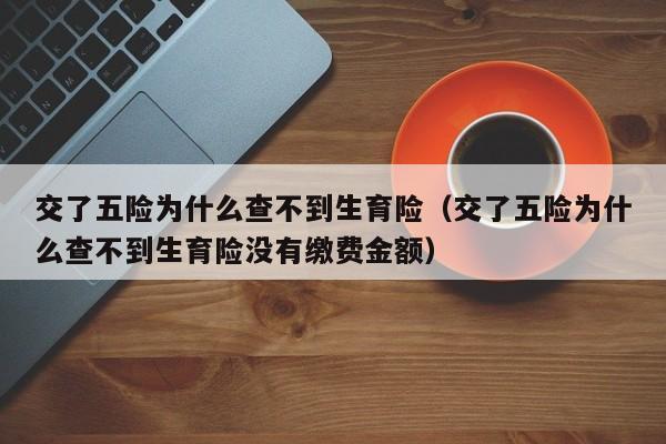 交了五险为什么查不到生育险（交了五险为什么查不到生育险没有缴费金额）