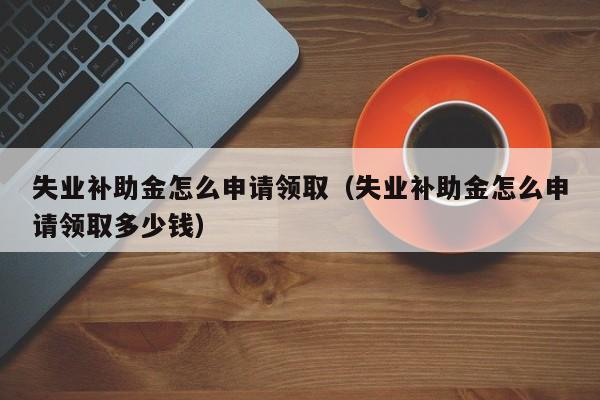 失业补助金怎么申请领取（失业补助金怎么申请领取多少钱）