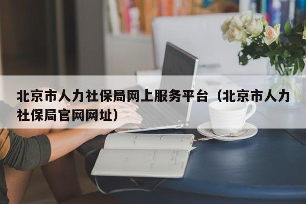 北京市人力社保局网上服务平台（北京市人力社保局官网网址）