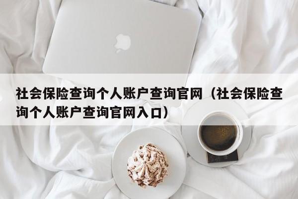 社会保险查询个人账户查询官网（社会保险查询个人账户查询官网入口）