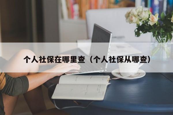 个人社保在哪里查（个人社保从哪查）