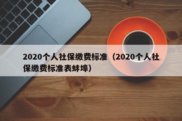 2020个人社保缴费标准（2020个人社保缴费标准表蚌埠）