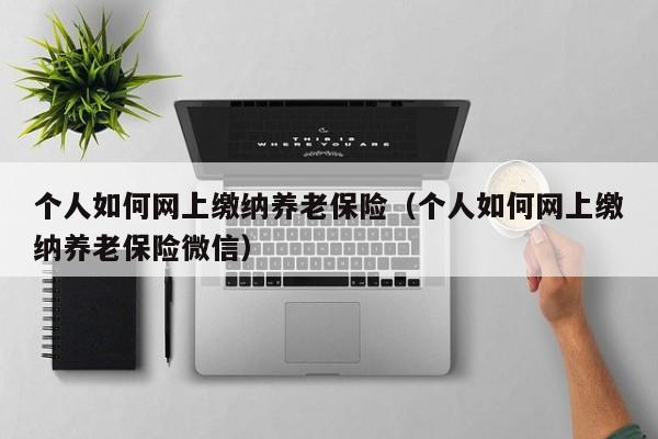 个人如何网上缴纳养老保险（个人如何网上缴纳养老保险微信）