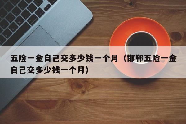 五险一金自己交多少钱一个月（邯郸五险一金自己交多少钱一个月）