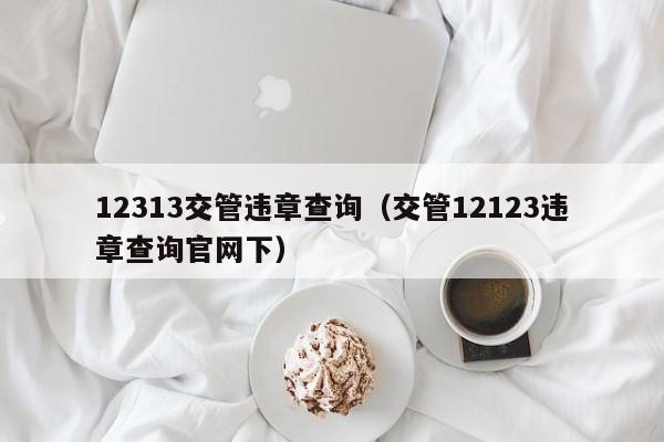 12313交管违章查询（交管12123违章查询官网下）