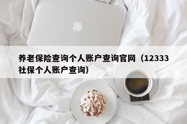 养老保险查询个人账户查询官网（12333社保个人账户查询）