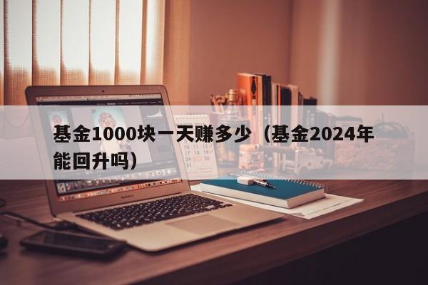 基金1000块一天赚多少（基金2024年能回升吗）