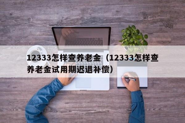 12333怎样查养老金（12333怎样查养老金试用期迟退补偿）