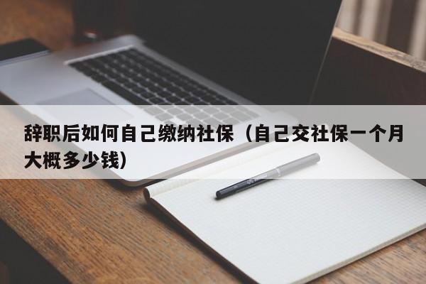 辞职后如何自己缴纳社保（自己交社保一个月大概多少钱）