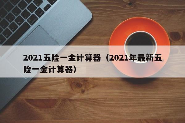 2021五险一金计算器（2021年最新五险一金计算器）