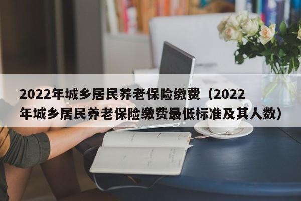 2022年城乡居民养老保险缴费（2022年城乡居民养老保险缴费最低标准及其人数）