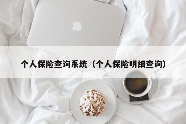 个人保险查询系统（个人保险明细查询）