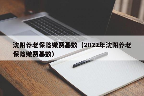 沈阳养老保险缴费基数（2022年沈阳养老保险缴费基数）