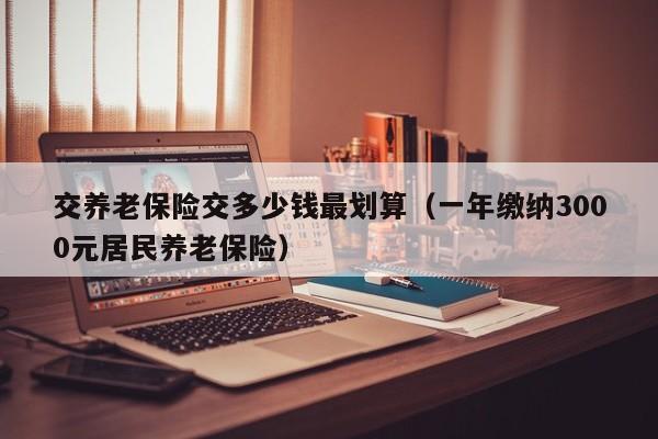 交养老保险交多少钱最划算（一年缴纳3000元居民养老保险）