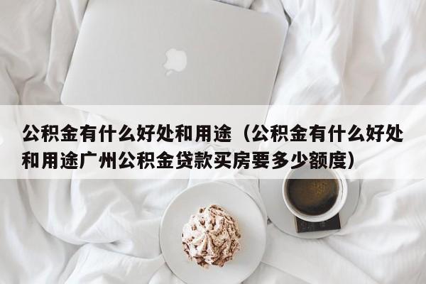 公积金有什么好处和用途（公积金有什么好处和用途广州公积金贷款买房要多少额度）