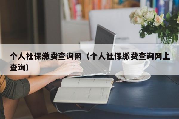 个人社保缴费查询网（个人社保缴费查询网上查询）