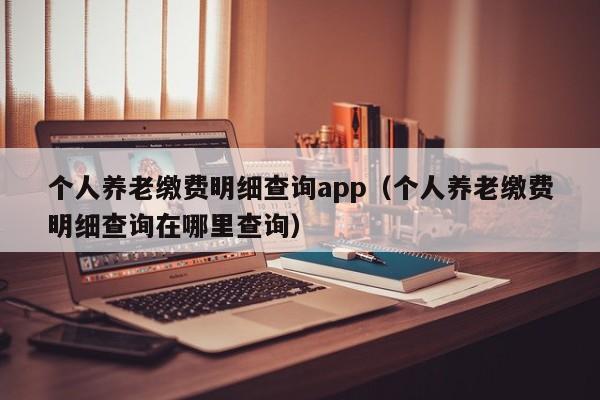个人养老缴费明细查询app（个人养老缴费明细查询在哪里查询）