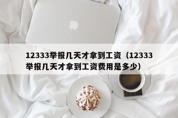 12333举报几天才拿到工资（12333举报几天才拿到工资费用是多少）