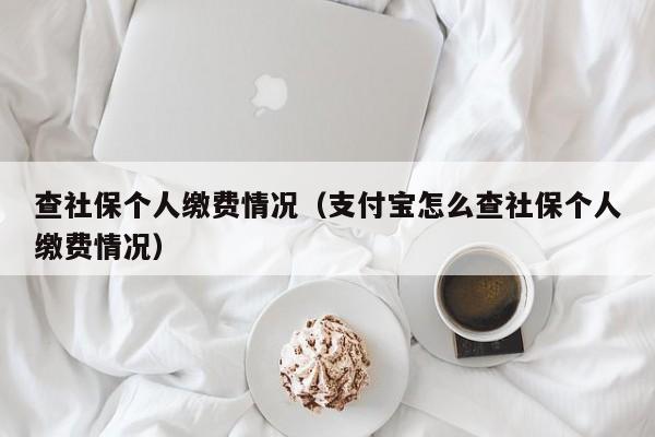 查社保个人缴费情况（支付宝怎么查社保个人缴费情况）