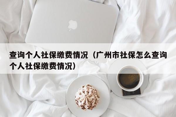 查询个人社保缴费情况（广州市社保怎么查询个人社保缴费情况）
