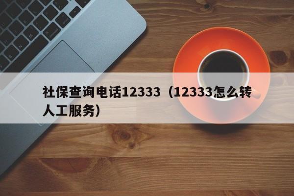 社保查询电话12333（12333怎么转人工服务）