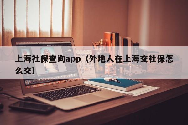 上海社保查询app（外地人在上海交社保怎么交）