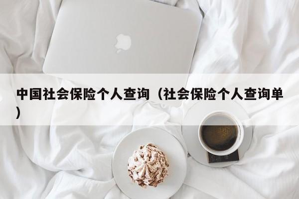 中国社会保险个人查询（社会保险个人查询单）
