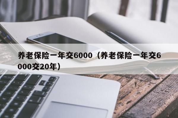 养老保险一年交6000（养老保险一年交6000交20年）