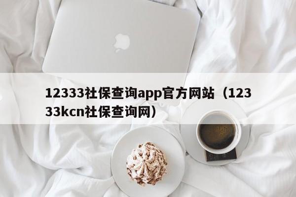 12333社保查询app官方网站（12333kcn社保查询网）