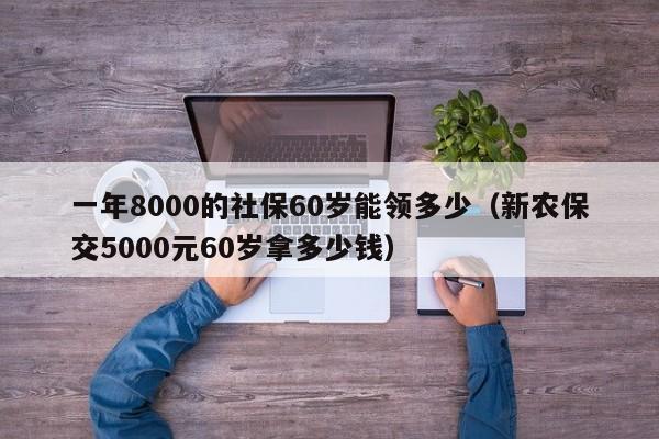 一年8000的社保60岁能领多少（新农保交5000元60岁拿多少钱）