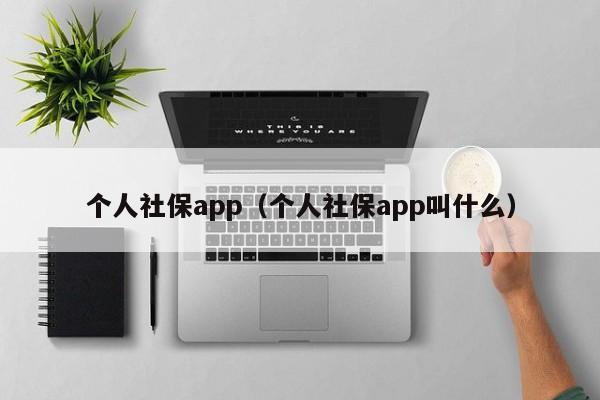 个人社保app（个人社保app叫什么）