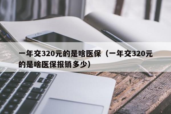 一年交320元的是啥医保（一年交320元的是啥医保报销多少）