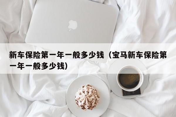 新车保险第一年一般多少钱（宝马新车保险第一年一般多少钱）