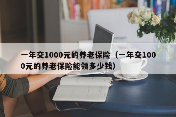 一年交1000元的养老保险（一年交1000元的养老保险能领多少钱）