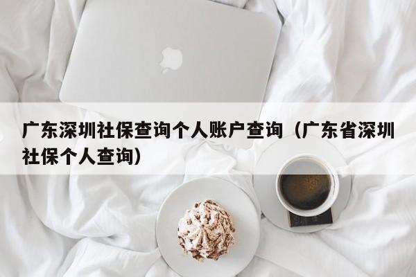 广东深圳社保查询个人账户查询（广东省深圳社保个人查询）