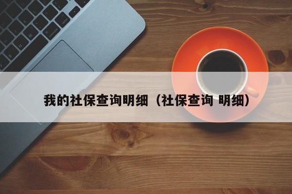 我的社保查询明细（社保查询 明细）