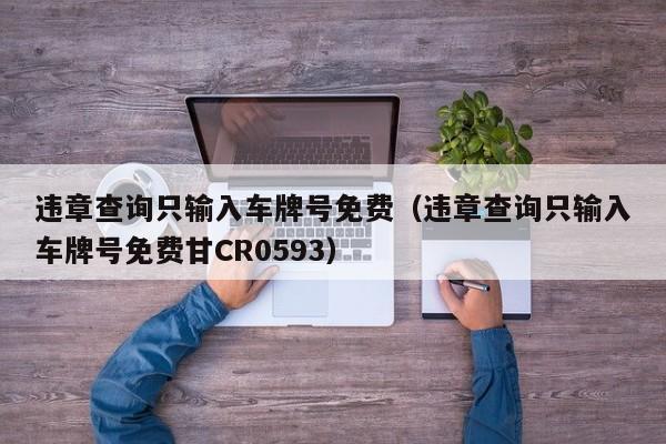 违章查询只输入车牌号免费（违章查询只输入车牌号免费甘CR0593）
