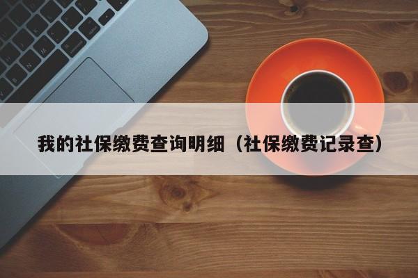 我的社保缴费查询明细（社保缴费记录查）