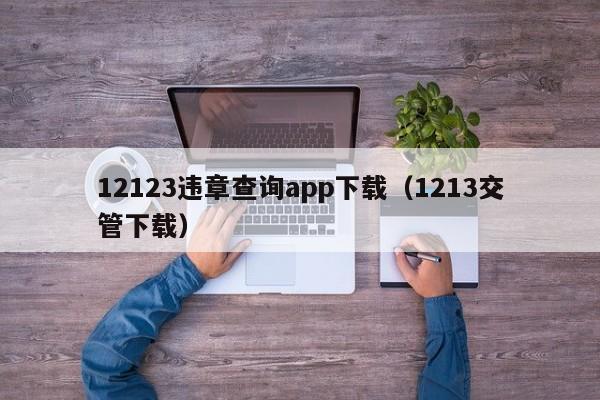 12123违章查询app下载（1213交管下载）
