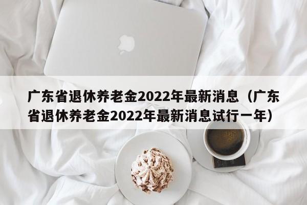 广东省退休养老金2022年最新消息（广东省退休养老金2022年最新消息试行一年）