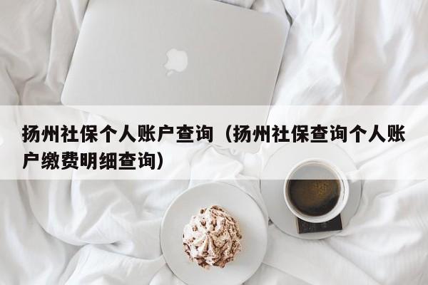 扬州社保个人账户查询（扬州社保查询个人账户缴费明细查询）