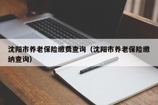 沈阳市养老保险缴费查询（沈阳市养老保险缴纳查询）