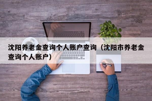 沈阳养老金查询个人账户查询（沈阳市养老金查询个人账户）