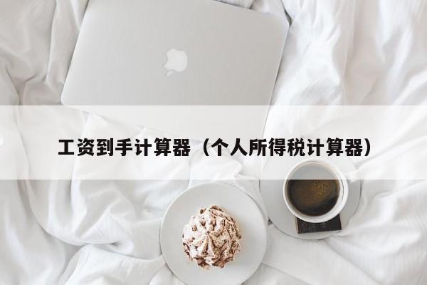 工资到手计算器（个人所得税计算器）