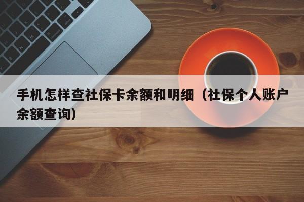 手机怎样查社保卡余额和明细（社保个人账户余额查询）