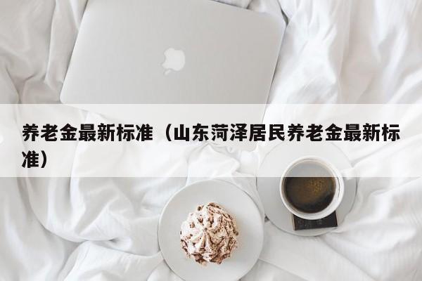 养老金最新标准（山东菏泽居民养老金最新标准）