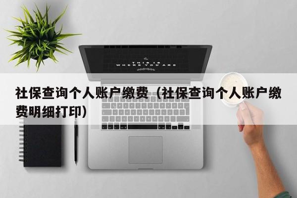 社保查询个人账户缴费（社保查询个人账户缴费明细打印）