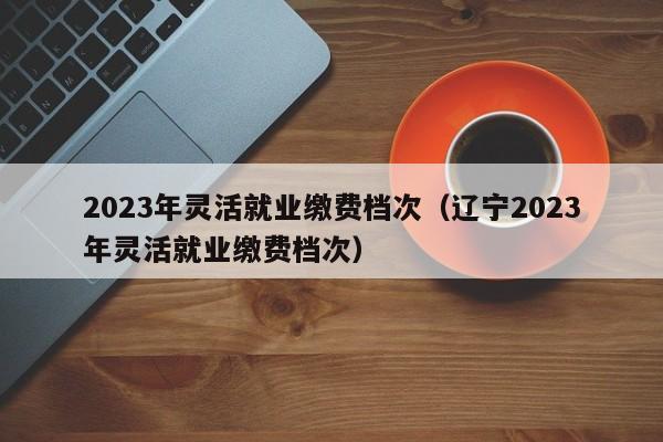 2023年灵活就业缴费档次（辽宁2023年灵活就业缴费档次）